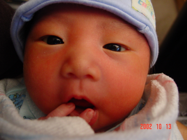 closeup.jpg